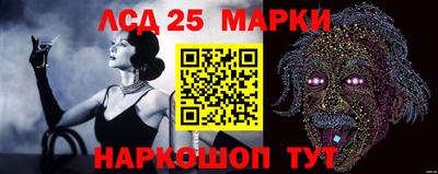 гидропоника Камышлов