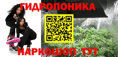 гидропоника Камышлов