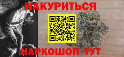 гидропоника Камышлов