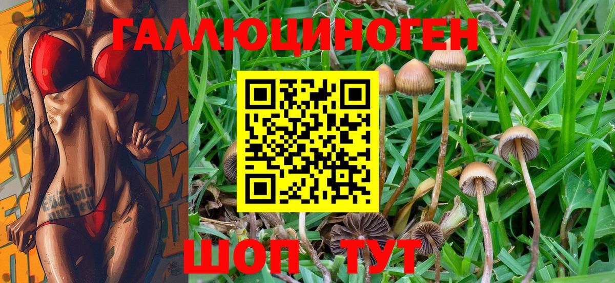 Крымск  Галлюциногенные грибы MAGIC MUSHROOMS  Псилоцибиновые грибы GOLDEN TEACHER  Вход с VPN 